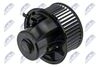 EWN-VW-013_2-WM.JPG