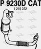 P9230DCAT.JPG