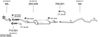 SYS11826.JPG