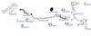 OP-EXSVG295_20260529081304.JPG