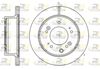 61306-10-MODEL.BMP
