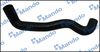 DCC020544(1).JPG