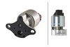 HELLA EGR Valve 6NU 010 171-971
