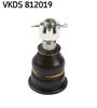 VKDS 812019.JPG