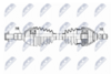 NPW-PL-176_9-WM.PNG