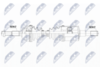 NPW-CH-100_9-WM.PNG