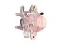 APEC Brake Caliper RCA497N