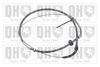 QH_BC2773.JPG