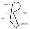 4918_001.BMP