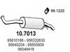 10.7013_1.JPG