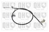 QH_BC4312.JPG