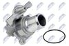 CTM-FT-007_2-WM.JPG
