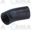 VE55960.JPG