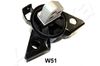 GOM-W51_1.JPG
