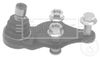 BBJ5675_207054.JPG