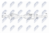 NPW-RE-219_9-WM.PNG