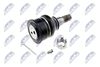 ZSD-HD-020_2-WM.JPG