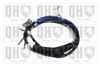 QH_BC4335.JPG