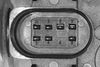 V10-81-0005_03.JPG