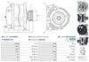 A01154(SEG)_256960.JPG