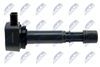 ECZ-HD-029_3-WM.JPG