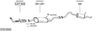 SYS10949.JPG