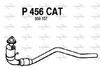 P456CAT.JPG