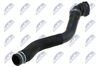 CPP-FT-008_2-WM.JPG
