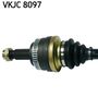 VKJC 8097_2.JPG