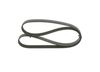 Bosch V-Ribbed Belt 1 987 946 280 (1987946280)