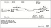 SAH17761B_5239680.JPG