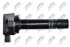 ECZ-HD-010_3-WM.JPG