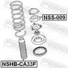 NSS-009_1.JPG