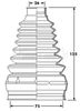 BCB6217_292430.JPG