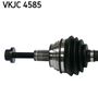 VKJC 4585_2.JPG