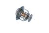 Termostats, Dzesēšanas šķidrums NRF NRF725119