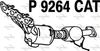 P9264CAT.JPG