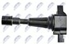 ECZ-MZ-013_3-WM.JPG