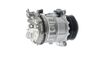  ACP536000P