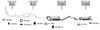 RE100810.BMP