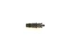 Bosch Nozzle and Holder Assembly 0432217308