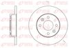 REM6067-00-MODEL.BMP