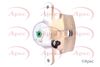 APEC Brake Caliper RCA535