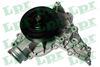 WP0764.JPG