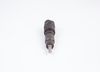 Bosch Nozzle and Holder Assembly 0432193476