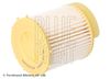Blue Print Fuel Filter ADG02389
