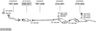 SYS18726.JPG