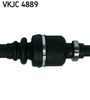 VKJC 4889_3.JPG