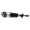Luftfederbein