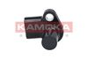 109011_B.JPG